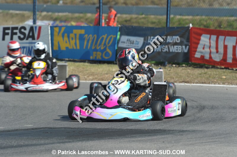DSC_ (1552).JPG